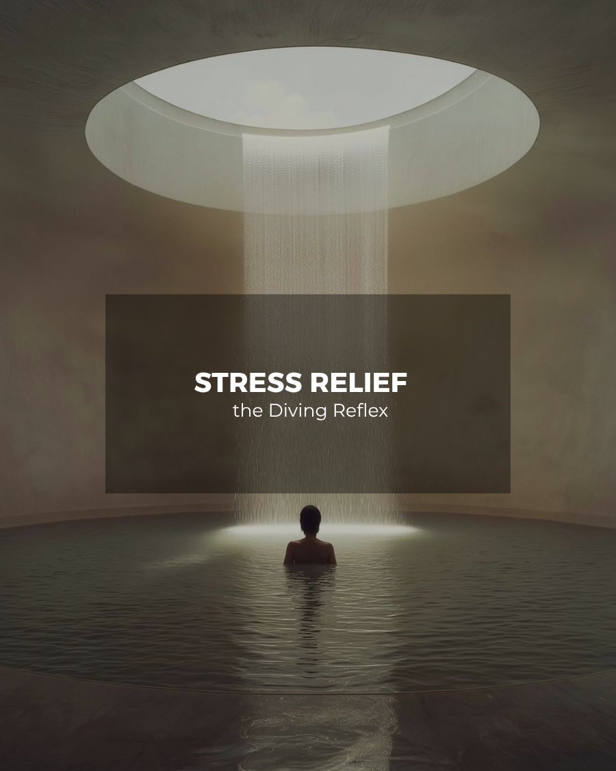 Can Cold Therapy Really Help with Stress Relief? The Science Behind the Diving Reflex