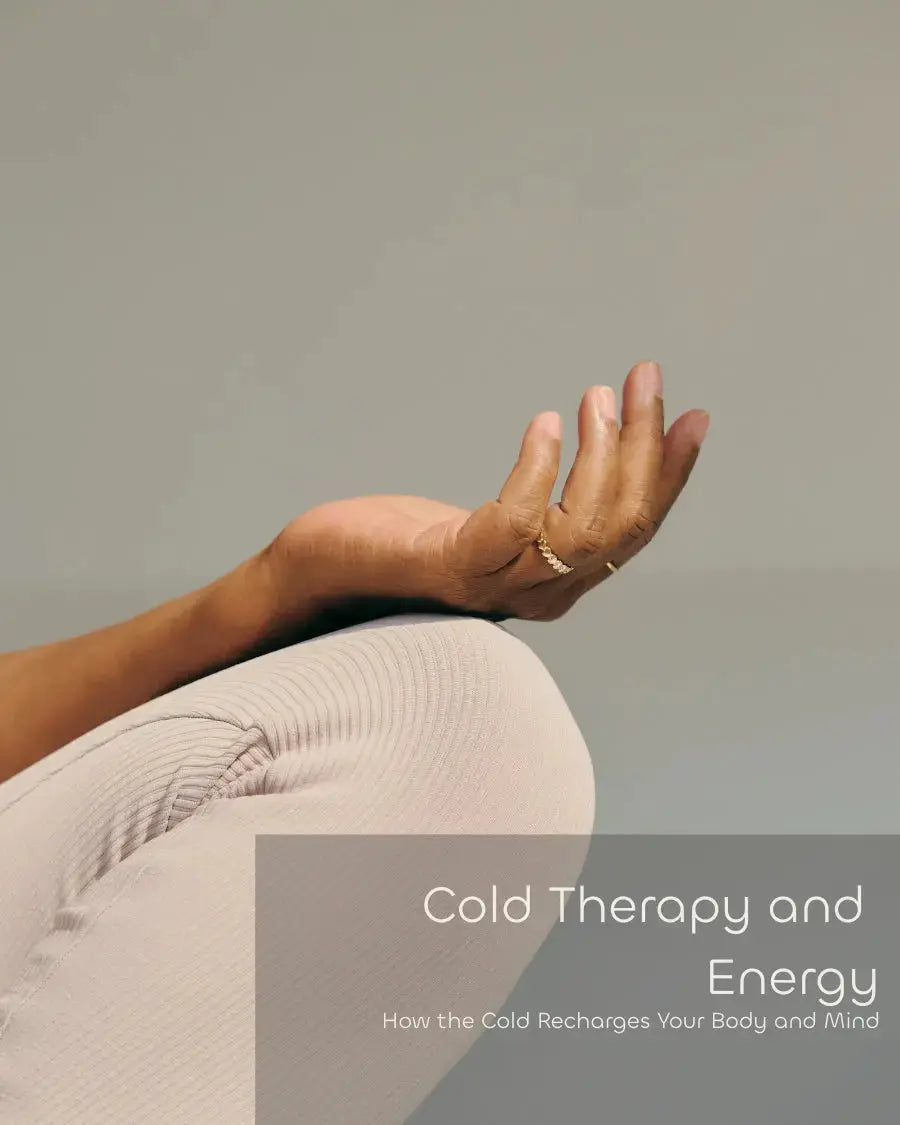 Frosteam nano-ionic steam facial device providing deep hydration and glowing skin