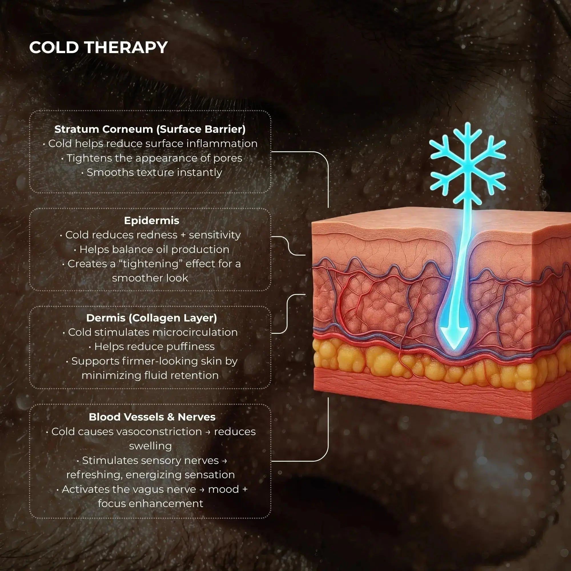 Cold therapy skin diagram showing cooling penetration from a facial beauty device, with effects on the stratum corneum, epidermis, dermis, and blood vessels. Highlights benefits such as reduced inflammation, pore tightening, redness calming, microcirculation stimulation, fluid retention reduction, and vagus nerve activation.