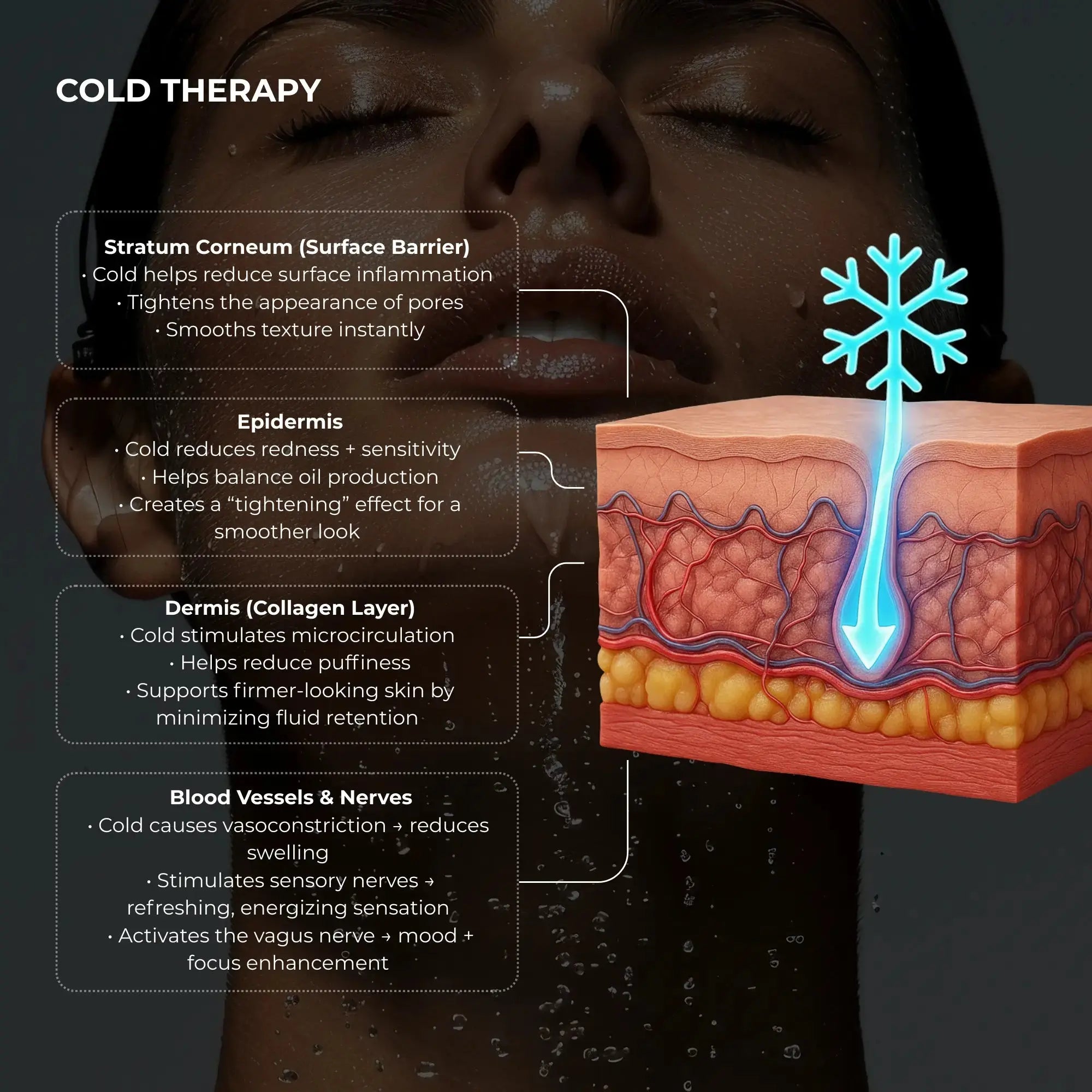 Cold therapy skincare diagram showing how Frosteam reduces inflammation, tightens pores, improves circulation, and supports firmer, smoother skin through advanced cold plunge technology.