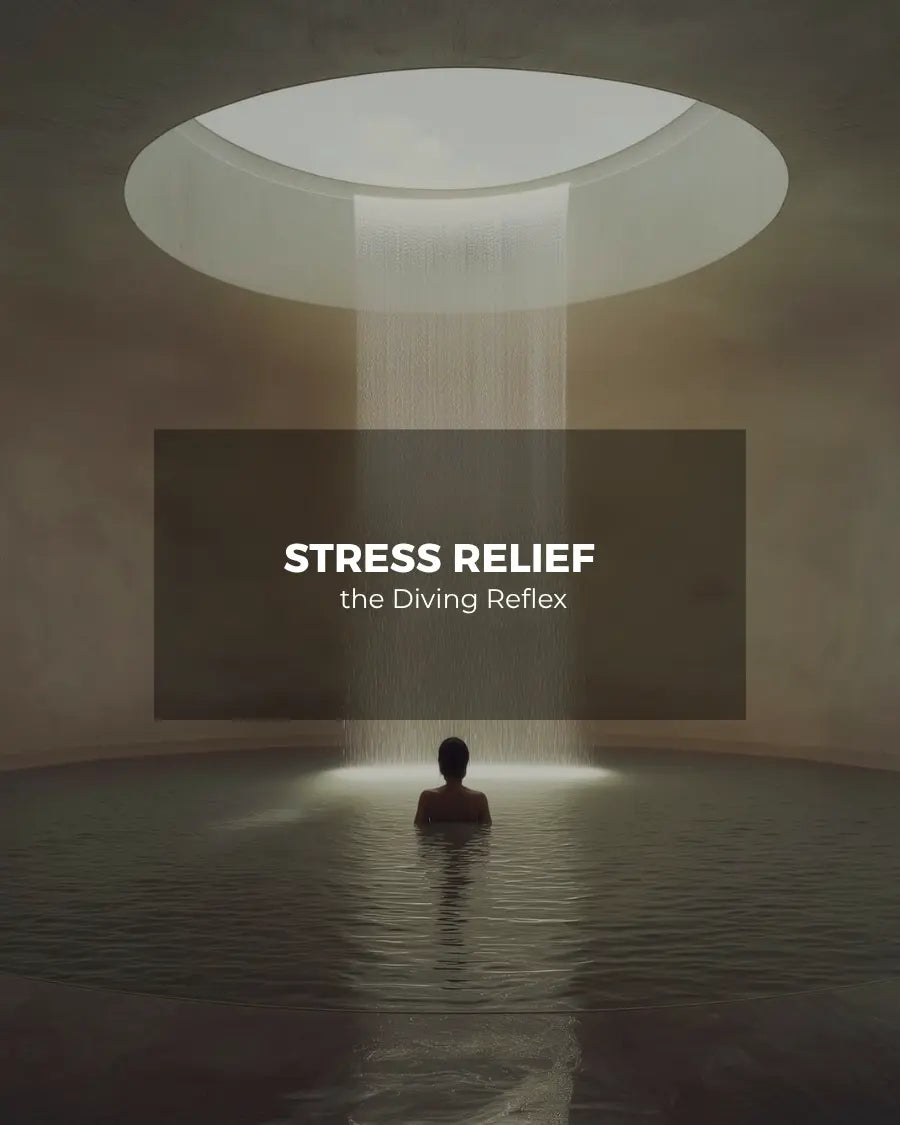 Can Cold Therapy Really Help with Stress Relief? The Science Behind the Diving Reflex The Frosteam