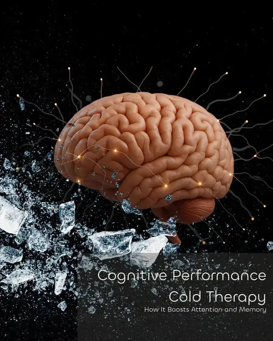 Cognitive-Performance-Cold-Therapy-How-It-Boosts-Attention-and-Memory The Frosteam