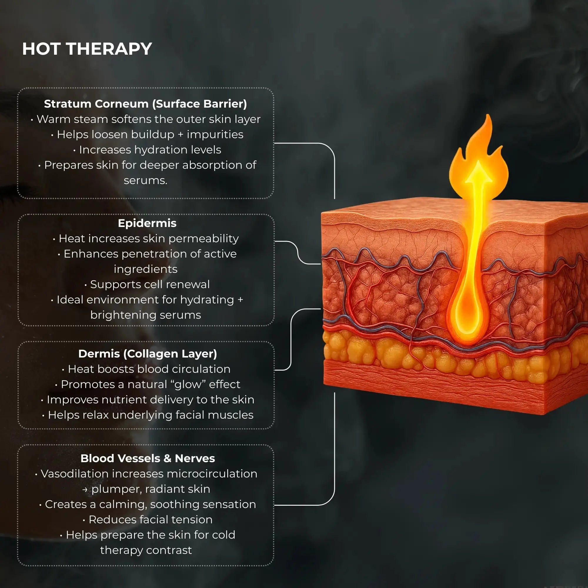 Frosteam hot therapy skincare diagram showing how nano-ionic steam penetrates skin layers to boost hydration, circulation, collagen support, and serum absorption.
